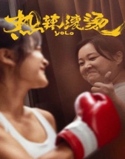 ver Yolo pelicula online