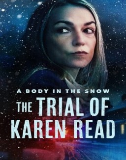 ver A Body in the Snow - The Trial of Karen Read - Temporada 1 online