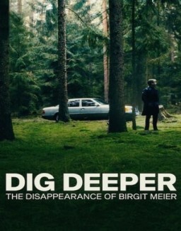 ver A fondo: La desaparición de Birgit Meier - Temporada 1 online