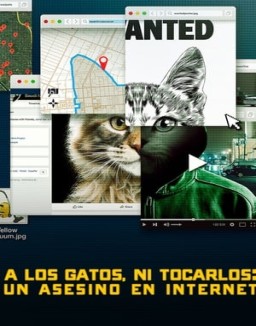 ver A los gatos ni tocarlos: Un asesino en Internet - Temporada 1 online