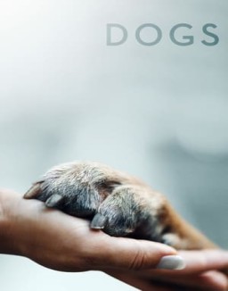 ver Amigos Caninos - Temporada 1 online