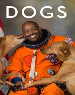 ver Amigos Caninos - Temporada 2 online