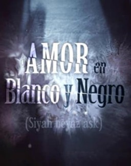 ver Amor en blanco y negro - Temporada 1 online