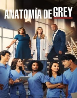 ver Anatomía de Grey - Temporada 1 online