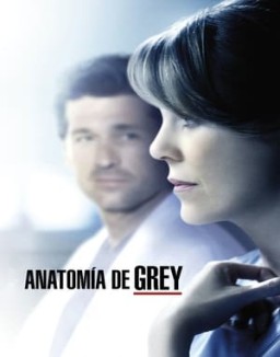 ver Anatomía de Grey - Temporada 11 online