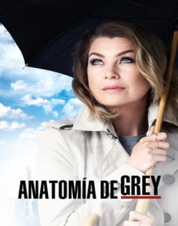 ver Anatomía de Grey - Temporada 12 online