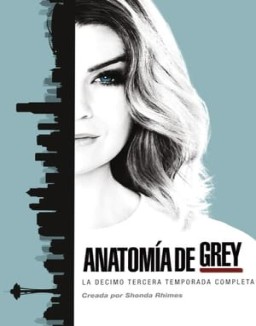 ver Anatomía de Grey - Temporada 13 online