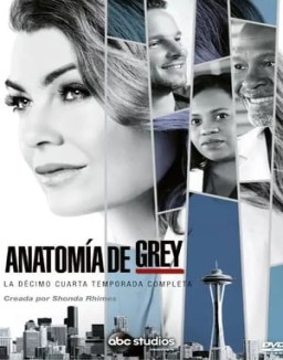 ver Anatomía de Grey - Temporada 14 online