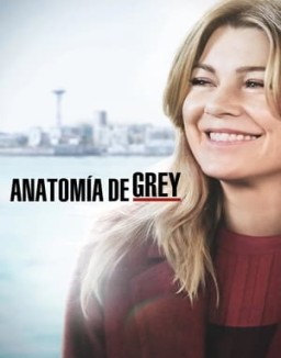 ver Anatomía de Grey - Temporada 15 online