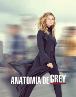 ver Anatomía de Grey - Temporada 16 online