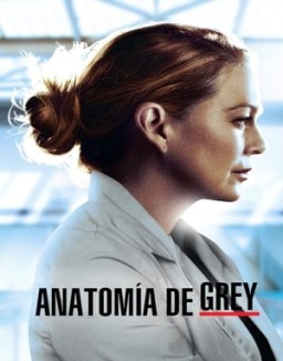 ver Anatomía de Grey - Temporada 17 online