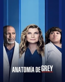 ver Anatomía de Grey - Temporada 18 online