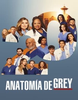 ver Anatomía de Grey - Temporada 20 online
