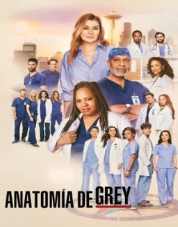 ver Anatomía de Grey - Temporada 21 online