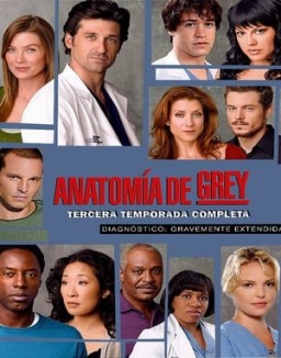 ver Anatomía de Grey - Temporada 3 online