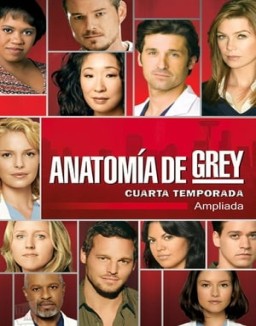 ver Anatomía de Grey - Temporada 4 online