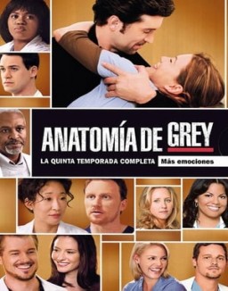 ver Anatomía de Grey - Temporada 5 online