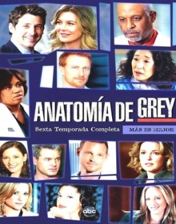 ver Anatomía de Grey - Temporada 6 online
