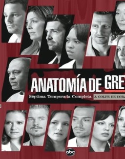 ver Anatomía de Grey - Temporada 7 online