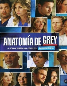 ver Anatomía de Grey - Temporada 8 online