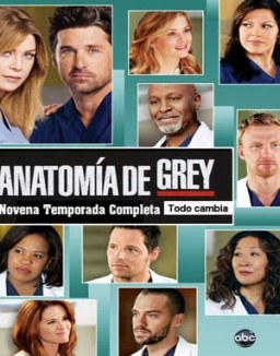ver Anatomía de Grey - Temporada 9 online