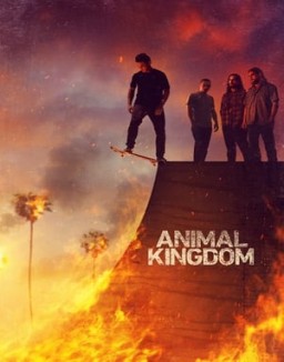 ver Animal Kingdom - Temporada 1 online