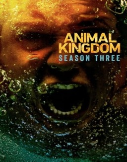 ver Animal Kingdom - Temporada 3 online