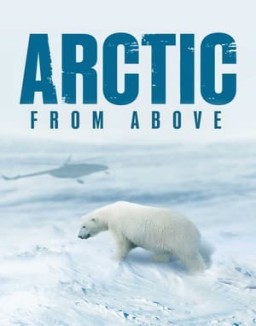 ver Arctic From Above - Temporada 1 online