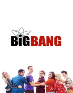 ver Big Bang - Temporada 12 online