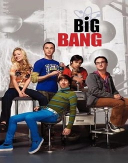ver Big Bang - Temporada 3 online