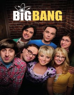 ver Big Bang - Temporada 8 online
