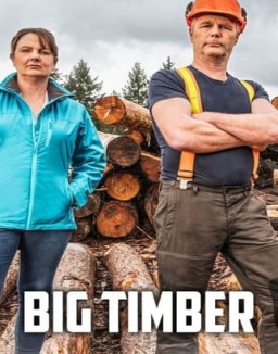 ver Big Timber - Temporada 1 online