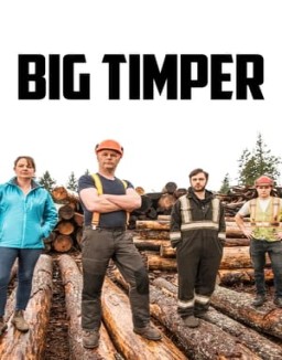 ver Big Timber - Temporada 2 online