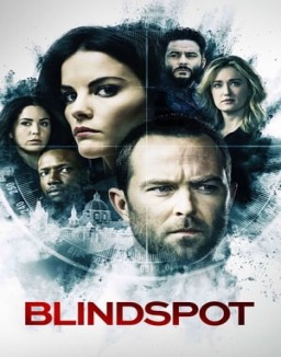 ver Blindspot - Temporada 1 online