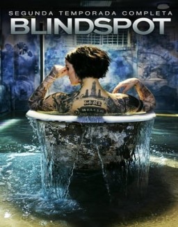 ver Blindspot - Temporada 2 online