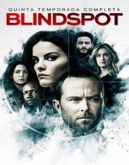 ver Blindspot - Temporada 5 online