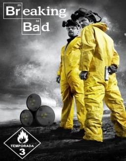 ver Breaking Bad - Temporada 3 online