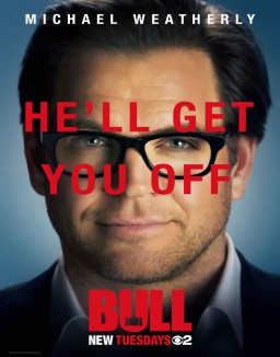 ver Bull - Temporada 1 online
