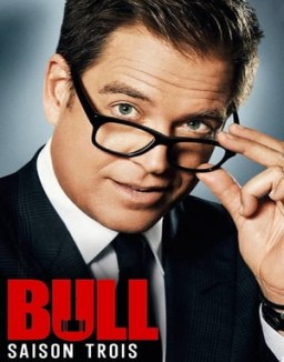 ver Bull - Temporada 3 online