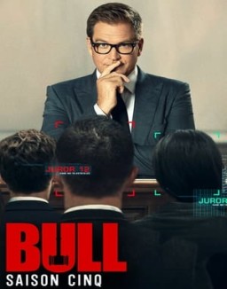 ver Bull - Temporada 5 online