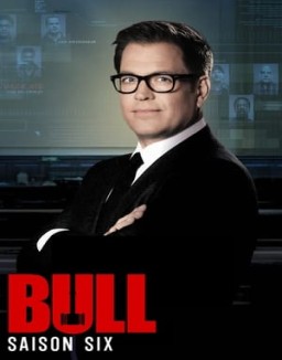 ver Bull - Temporada 6 online