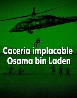 ver Cacería implacable: Osama bin Laden - Temporada 1 online