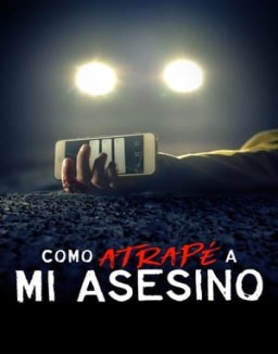 ver Cómo atrapé a mi asesino - Temporada 1 online