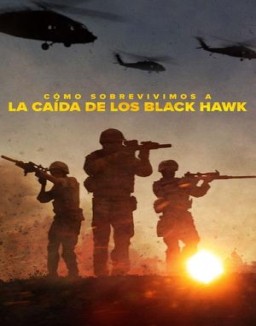 ver Cómo sobrevivimos a la caída de los Black Hawk - Temporada 1 online