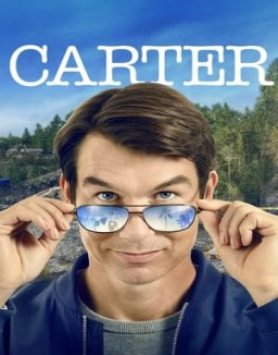 ver Carter - Temporada 1 online