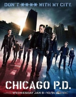 ver Chicago P.D. temporada 1 serie gratis