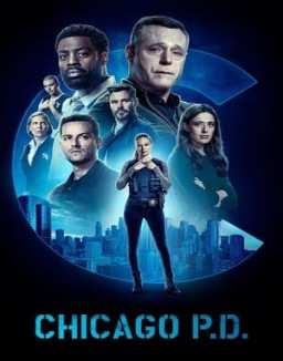 ver Chicago P.D. temporada 10 serie gratis