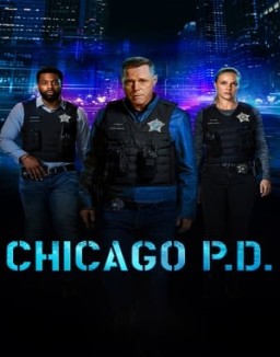 ver Chicago P.D. - Temporada 11 online