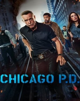 ver Chicago P.D. - Temporada 12 online