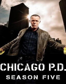 ver Chicago P.D. temporada 5 serie gratis